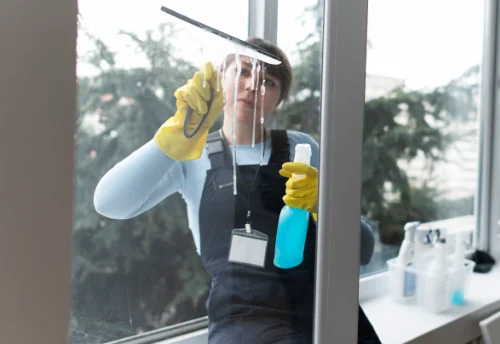 Nettoyage de vitres intérieures et extérieures à Remollon